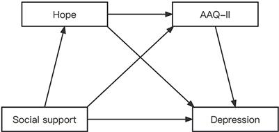 The relationship between social support and depression among HIV-positive men who have sex with men in China: the chain mediating role of psychological flexibility and hope